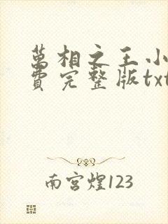 万相之王小说免费完整版txt