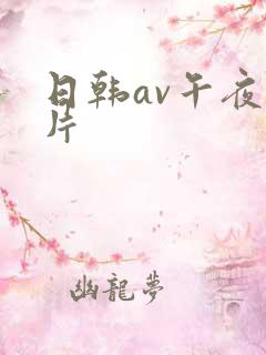 日韩av午夜爽片