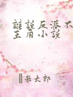 谁说反派不能当主角小说