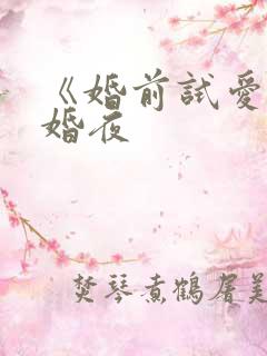 《婚前试爱》新婚夜