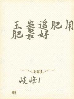 玉米追肥用什么肥最好