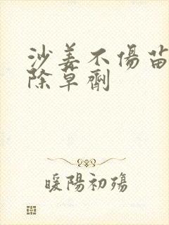 沙姜不伤苗专用除草剂