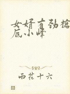 女婿有劲枪枪到底小峰