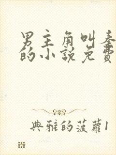 男主角叫秦天明的小说免费阅读