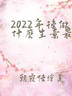 2022年后做什么生意最赚钱