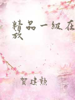 精品一级在线播放