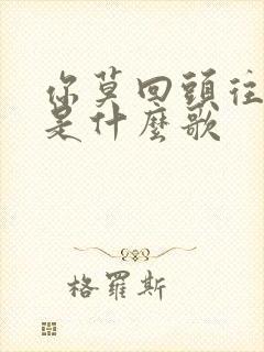你莫回头往前走是什么歌