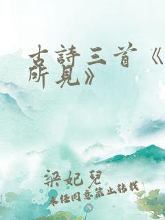 古诗三首《夜书所见》 古诗三首《夜书所见》