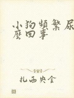 小狗频繁尿是怎么回事 小狗频繁尿是怎么回事