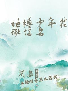地缚少年花子君微信名