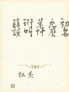 薛珩叶允初的小说叫什么名字 薛珩叶允初的小说叫什么名字