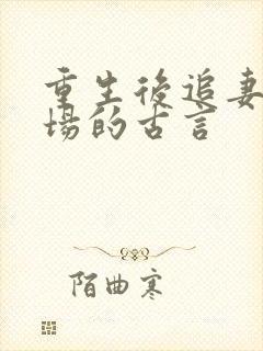 重生后追妻火葬场的古言