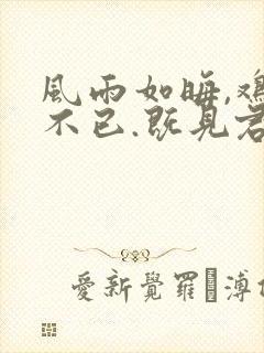 风雨如晦,鸡鸣不已.既见君子,云胡不喜?