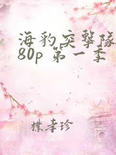 海豹突击队1080p 第一季