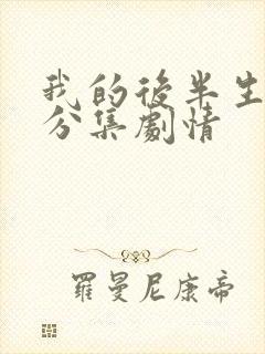我的后半生剧情分集剧情