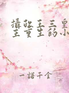 摄政王三皇子女主重生的小说