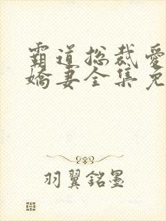霸道总裁爱上小娇妻全集免费观看