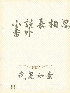 小说长相思相柳番外