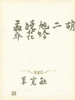 孟晓旭二胡独奏葬花吟