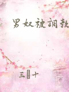男奴被调教小说