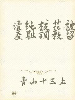 清纯校花被民工羞耻调教留意