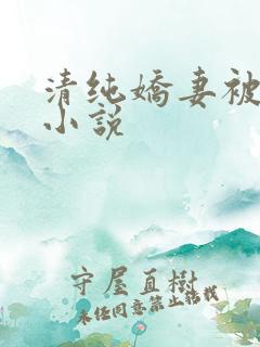 清纯娇妻被调教小说
