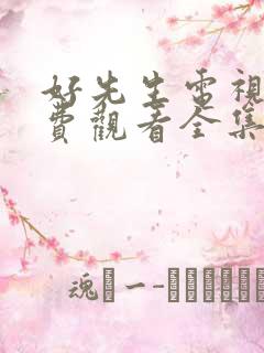 好先生电视剧免费观看全集完整版 好先生电视剧免费观看全集完整版