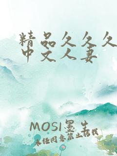 精品久久久久久中文人妻