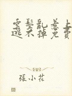 云鬓乱惹上权臣逃不掉免费阅读