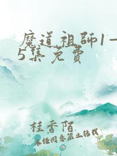 魔道祖师1—35集免费