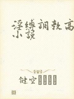 淫缚调教高潮的小说