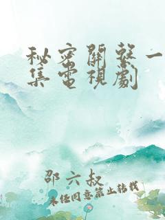 秘密关系一共几集电视剧