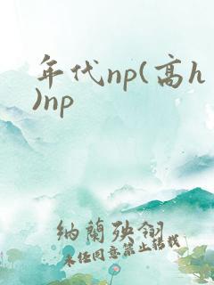 年代np(高h)np