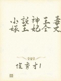 小说神王毒宠二嫁王妃全文