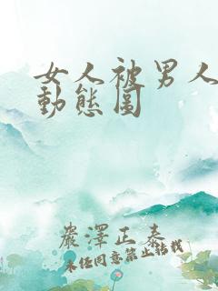 女人被男人插b动态图