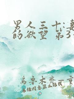 男人三十:妻子的欲望 第3章