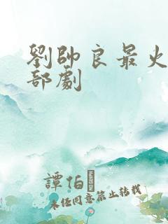 刘帅良最火的三部剧