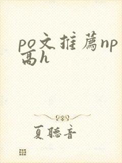 po文推荐np高h