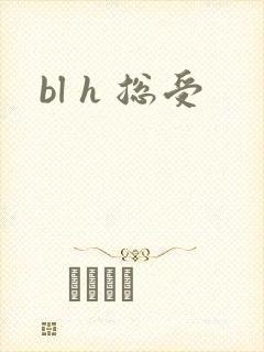 bl h 总受