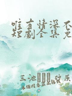 唯有情深不可负短剧全集免费观看