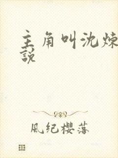 主角叫沈炼的小说