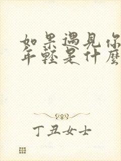 如果遇见你我还年轻是什么歌 如果遇见你我还年轻是什么歌