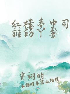 红楼梦中司棋是谁的丫鬟