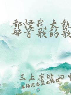 都怪我太执着是哪首歌的歌词