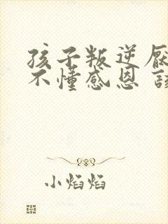 孩子叛逆厌学 不懂感恩 该怎么办