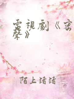 电视剧《密战无声》
