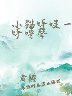 小猫呼吸一直有呼噜声