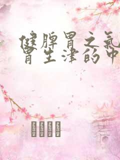 健脾胃之气,益胃生津的中成药