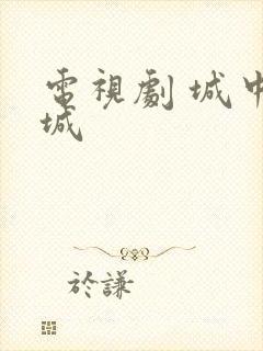 电视剧 城中之城