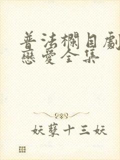 普法栏目剧完美恋爱全集